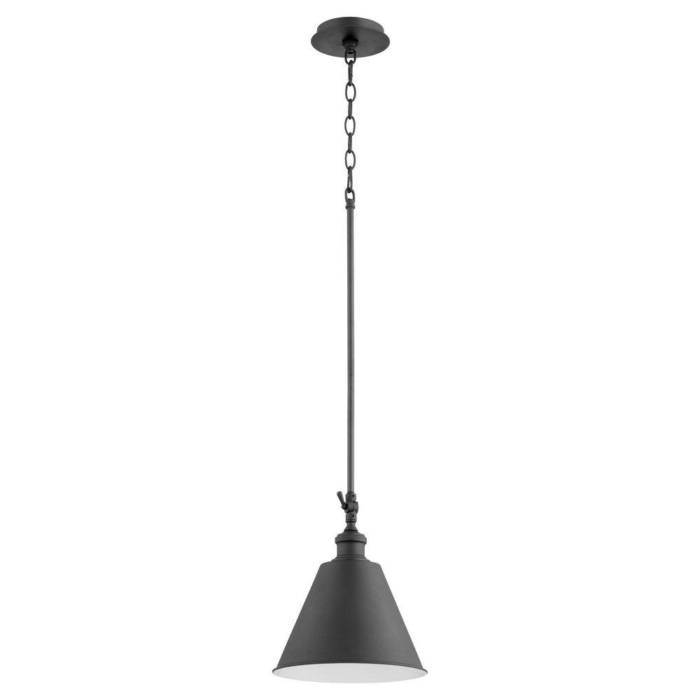 100W 1-Light Medium Pendant Light in Noir 