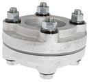 2-1/2 x 2-1/2 in. FIP Flange Dielectric Union