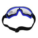 Radians Plastic Safety Goggle 