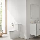 1.28 gpf Elongated Two Piece Toilet in Alpine White 