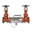 6 in. 304 Stainless Steel Flanged Backflow Preventer