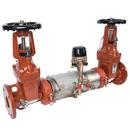 Ames Fire & Waterworks Stainless Steel Stainless Steel Flanged Backflow Preventer 