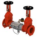 8 in. 304 Stainless Steel Flanged Backflow Preventer