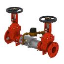 4 in. Stainless Steel Flanged Backflow Preventer