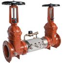 Ames Fire & Waterworks Stainless Steel Flanged Backflow Preventer 