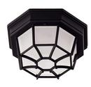 Functional 1 Light Outdoor Ceiling Fixture from the Exterior Collection 