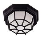 Functional 1 Light Outdoor Ceiling Fixture from the Exterior Collection