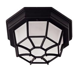 Functional 1 Light Outdoor Ceiling Fixture from the Exterior Collection