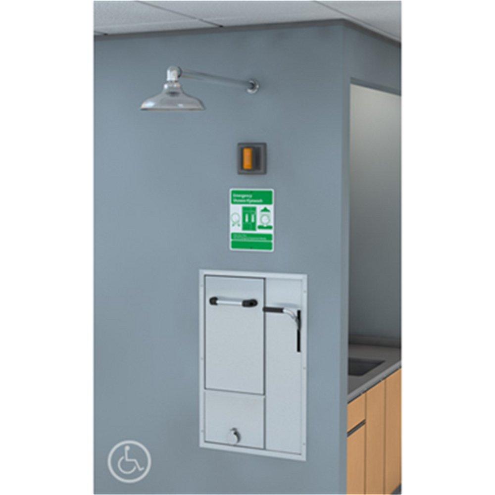 Guardian Equipment 1 in. FNPT 20 gpm Single Handle Safety Shower 