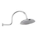 10 in. Single Function Rain Showerhead Set in Polished Chrome - 17 in. Gooseneck Arm Included