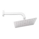 10 in. Single Function Rain Showerhead Set in Polished Chrome - 10 in. Arm Included