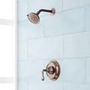 Single Handle Multi Function Shower Faucet in Oil Rubbed Bronze