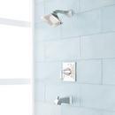 Single Handle Single Function Bathtub & Shower Faucet in Polished Nickel