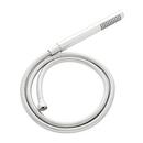 Single Function Hand Shower and Hose in Polished Chrome