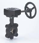 5 in. Cast Iron Lug EPDM Gear Operator Handle Butterfly Valve