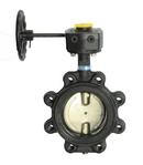 24 in. Cast Iron Lug EPDM Gear Operator Handle Butterfly Valve