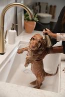 DELTA LENTA: SINGLE-HANDLE PULL-DOWN KITCHEN FAUCET WITH TOUCH2O TECHNOLOGY 