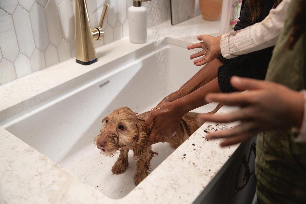 Single Handle Pull Down Touchless Kitchen Faucet in Matte Black 