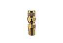 1/4 in. MPT 3000# Brass VPV Series Purge Valve 