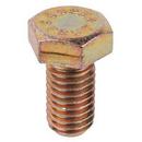 Thomas & Betts Gold Stainless Steel Hex Cap Screw 