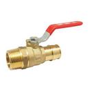 Red-White Valve DZR Brass Full Port F1960 x MNPT 400# Ball Valve 