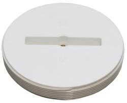 6 in. Polypro Slotted Flush Plug With Threaded Brass Insert In White