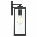 Quoizel Earth Black 100W 1-Light Medium E-26 Incandescent Outdoor Pendant 