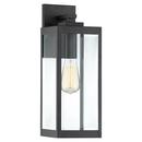 Quoizel Earth Black 100W 1-Light Medium E-26 Incandescent Outdoor Pendant 