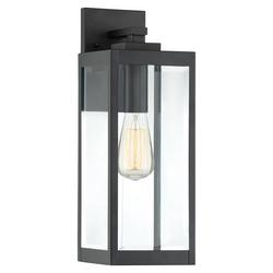 100W 1-Light Medium E-26 Incandescent Outdoor Pendant in Earth Black