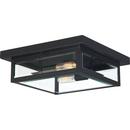 40W 2-Light Incandescent Outdoor Ceiling Fixture in Earth Black