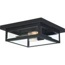 Quoizel Earth Black 40W 2-Light Incandescent Outdoor Ceiling Fixture 