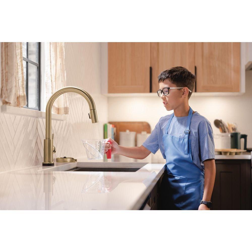 Delta Faucet Champagne Bronze Brass Glass Rinser 