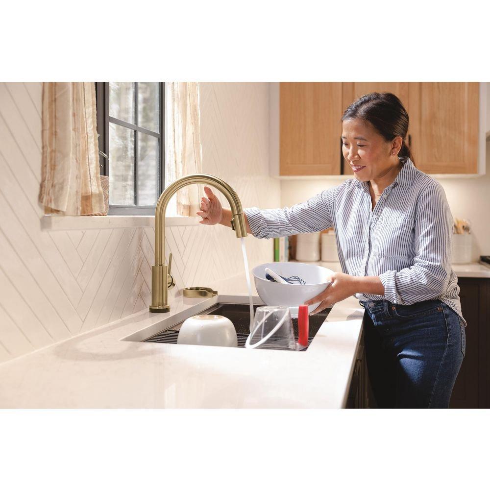 Delta Faucet Champagne Bronze Brass Glass Rinser 