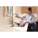 Delta Faucet Champagne Bronze Brass Glass Rinser 