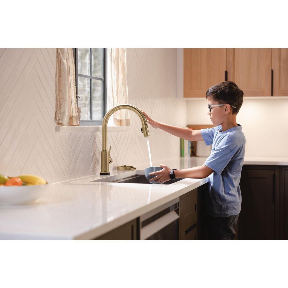 Delta Faucet Champagne Bronze Brass Glass Rinser 