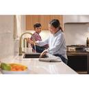 Delta Faucet Champagne Bronze Brass Glass Rinser 