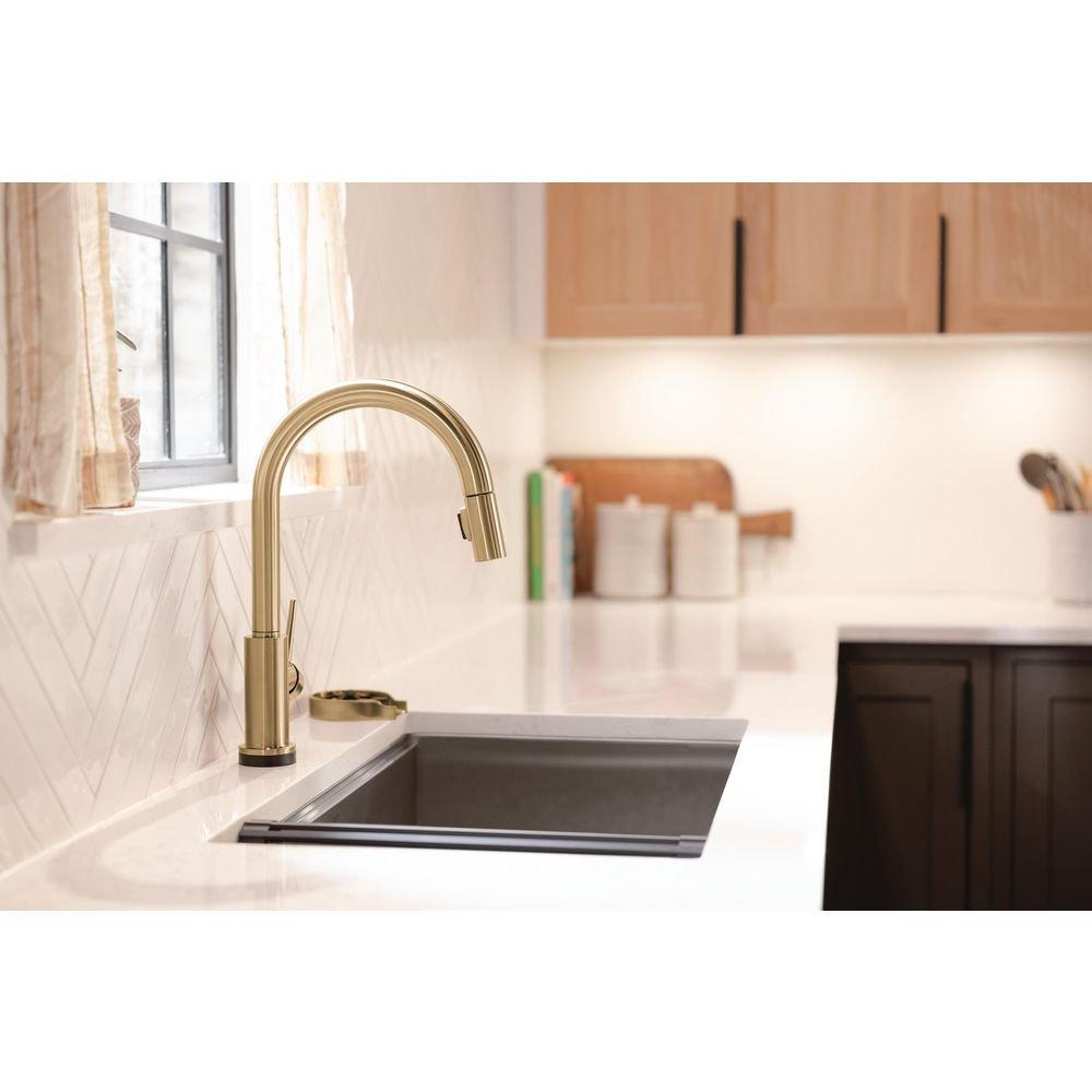 Delta Faucet Champagne Bronze Brass Glass Rinser 