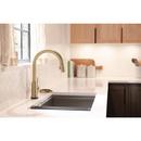 Delta Faucet Champagne Bronze Brass Glass Rinser 