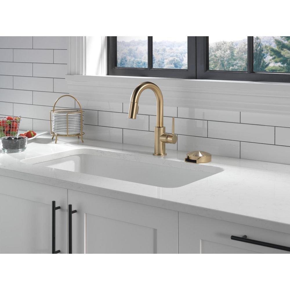 Delta Faucet Champagne Bronze Brass Glass Rinser 