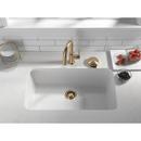 Delta Faucet Champagne Bronze Brass Glass Rinser 