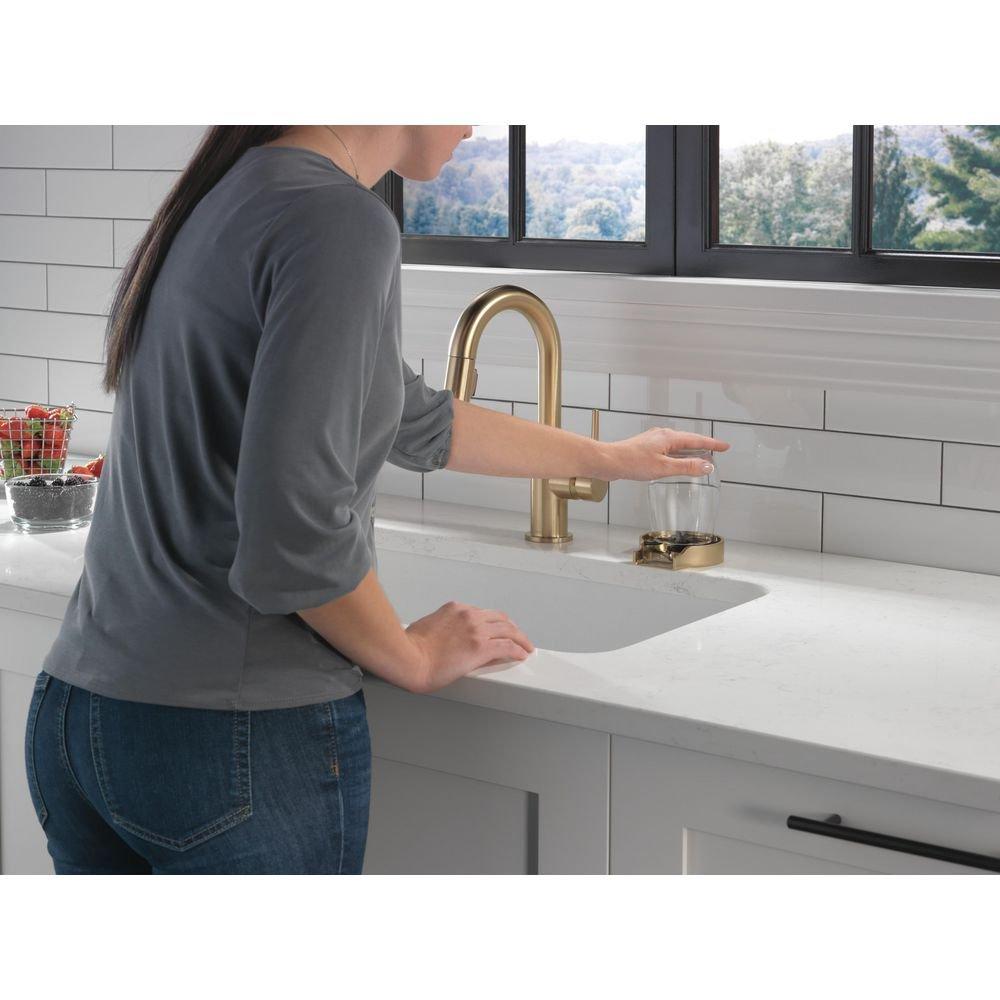 Delta Faucet Champagne Bronze Brass Glass Rinser 