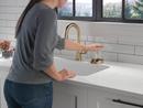 Delta Faucet Champagne Bronze Glass Rinser 