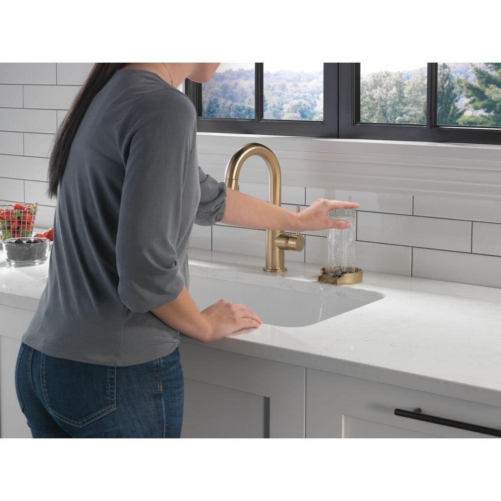 Delta Faucet Champagne Bronze Brass Glass Rinser 
