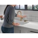 Delta Faucet Champagne Bronze Brass Glass Rinser 