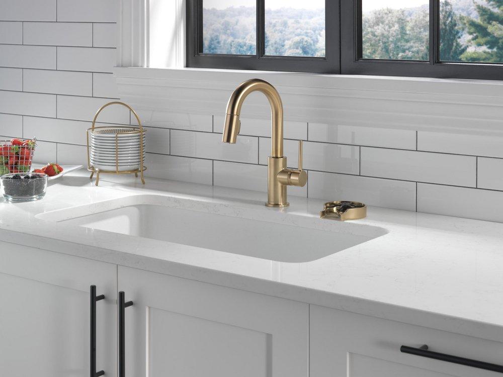 Delta Faucet Champagne Bronze Glass Rinser 