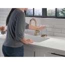 Delta Faucet Champagne Bronze Brass Glass Rinser 