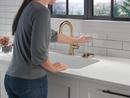 Delta Faucet Champagne Bronze Glass Rinser 