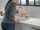 Delta Faucet Champagne Bronze Glass Rinser 