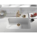 Delta Faucet Champagne Bronze Brass Glass Rinser 