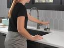 Delta Faucet Black Stainless Glass Rinser 
